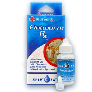 טיפול בתולעים שטוחות – Flatworm Rx